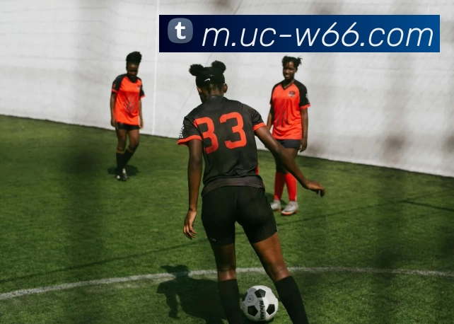 利来国际APP 封面图